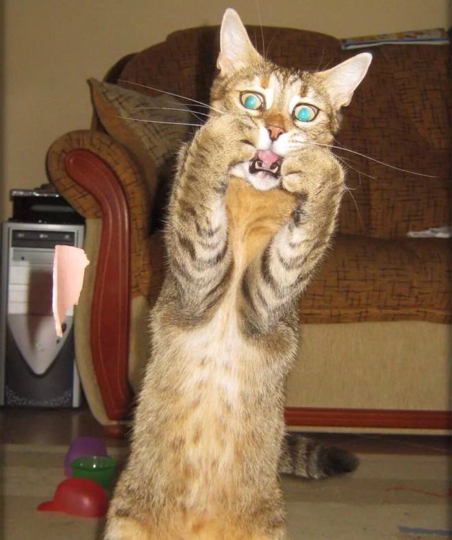 关键时刻扭转乾坤,选手立于不败之地一路高歌 关键时刻扭转乾坤,选手立于不败之地一路高歌