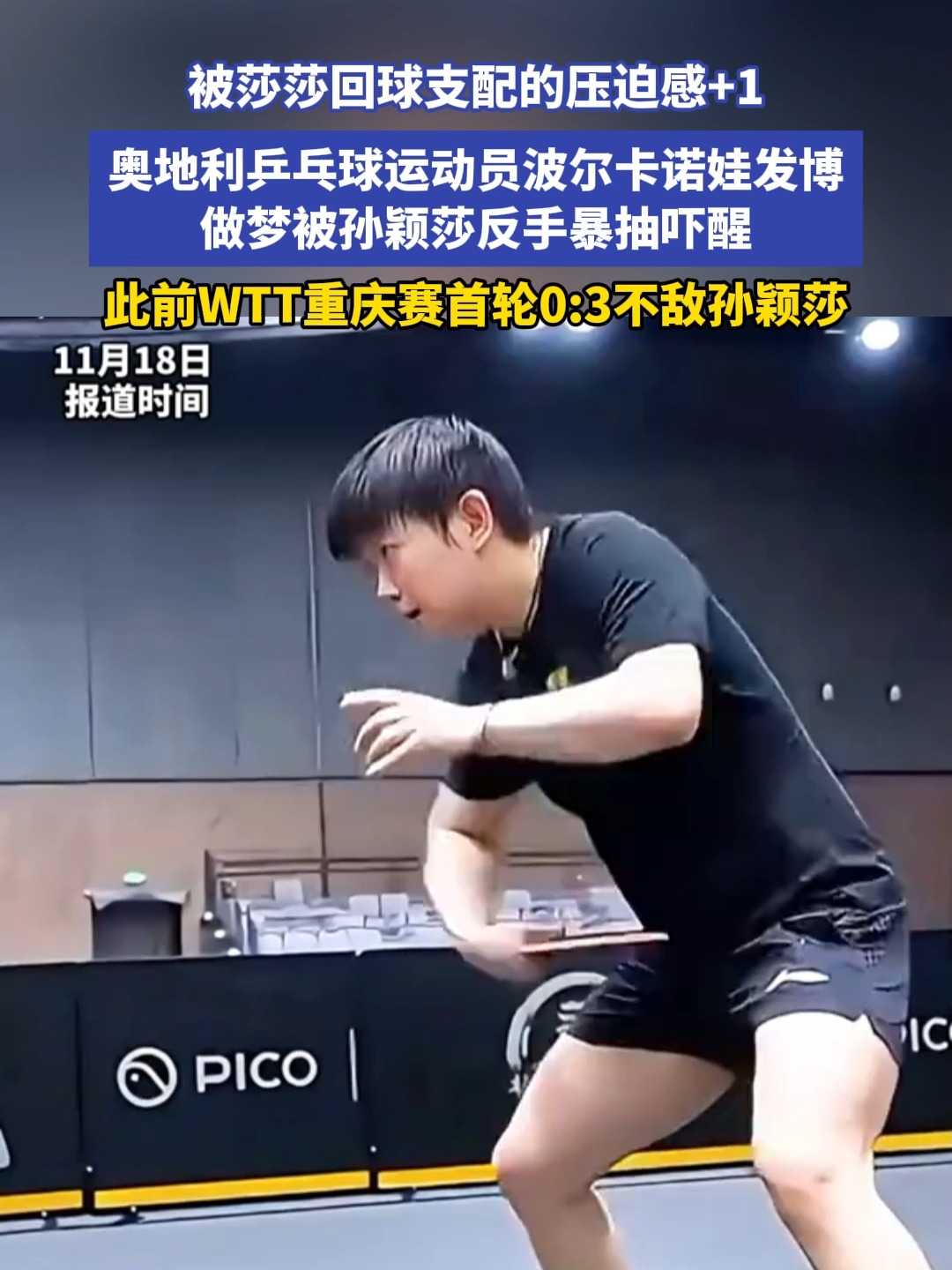 奥地利乒乓球队翻盘波兰乒乓球队，王皓高光表现的简单介绍