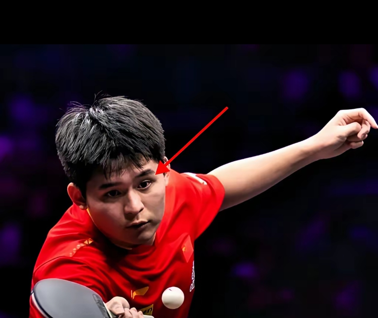 奥地利乒乓球队翻盘波兰乒乓球队，王皓高光表现的简单介绍