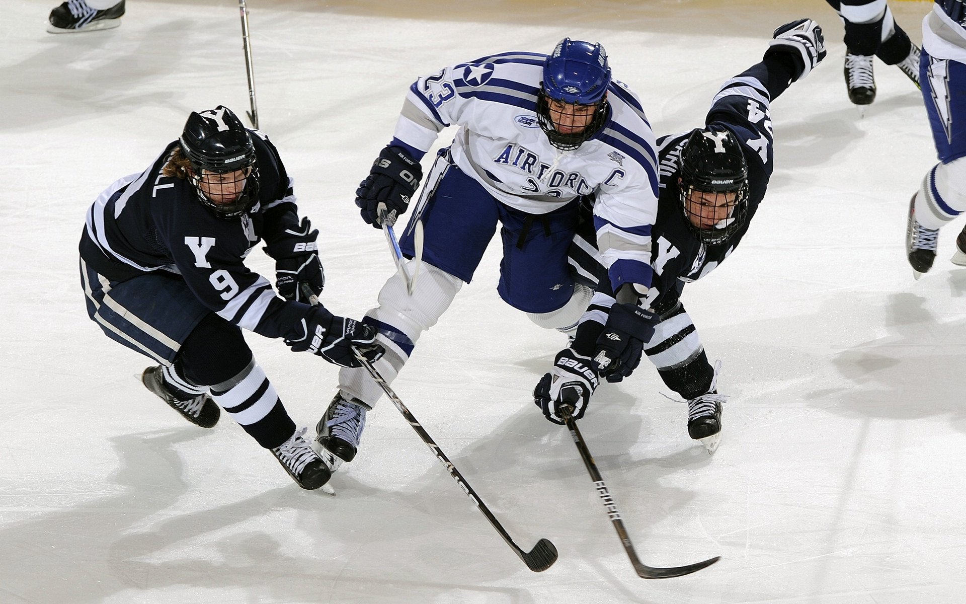 蜂鸣不息,拉梅洛·鲍尔如何用稳定重新定义黄蜂的狂想曲