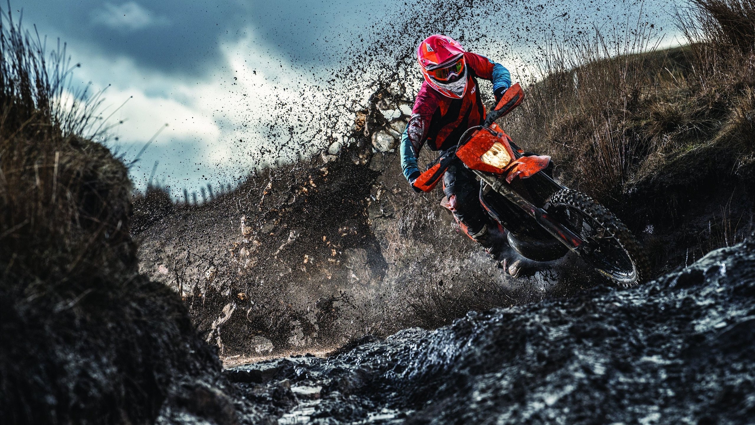 本泽马临危救主,尼日利亚终结非洲雄狮传奇